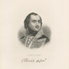 Count Pulaski