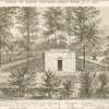 Tomb of David Provoost, Jones' Wood NY