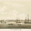 View of Brooklyn, 1840