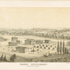 Nursery establishment Randall's Island