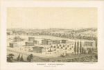 Nursery establishment Randall's Island