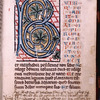 Initial with large scale foliage; red, blue and ochre gothic capitals form a panel adjacent to initial for the first verses of Psalm 1