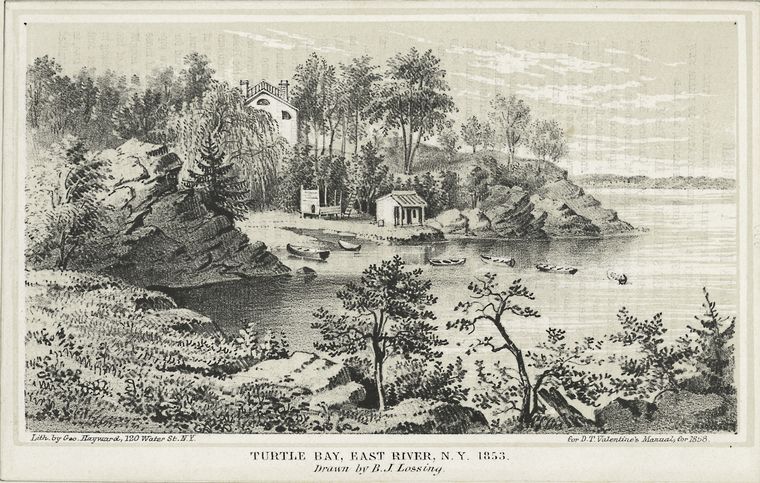 Turtle Bay in the mid 19th Century
