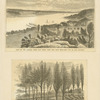 View of the Hudson, from Flat Rock, Fort Lee, with New York City in the distance; The bastion