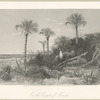On the Coast of Florida.
