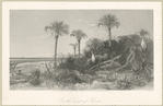On the Coast of Florida.