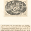 View at King's Mountain Battle-ground