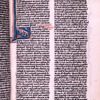 Initial with animal figure