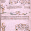 Eighth vision: John hears the vast throng shouting; Christ in Majesty with four beasts, angels and elders; wedding feast laid out on a table, on which the Lamb stands. (Apoc. 19:1-8)