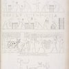 Mietitura delle spighe: ricolta e battitura  delle medesime.