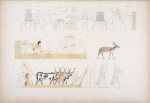 Trasporto delle biade. Fig. 2. Raccolta del dorrah, specie di saggina (holcus); e battitura della medesima per mezzo dei bovi.  Fig. 3. Raccolta del papiro.