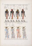 Le diverse specie di uomini noti agli Egizi, rappresentati nella tomba di Menphtah I [Seti I] I primi figurano li stessi Egiziani; e a tutti succede il dio Horus custode dell'umana stirpe.