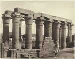 Luxor, le temple, la grande colonnade.