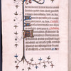 Explicit of the mass for the dead