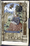 John the Evangelist on Patmos, with a vision of the 7-headed beast in the air above him; in the border, as if statues, John the Evangelist holding the poisoned chalice, and John raising Drusilla from the dead