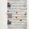 Initials, blue rubrics, gold "branch" linefiller
