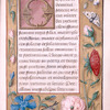 Different scribe or different script style; border of strewn flowers, insects, bird