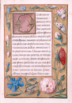 Different scribe or different script style; border of strewn flowers, insects, bird
