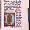 Large initial on gold field