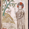 Full-page miniature of God creating birds and fish, [f. 4r]