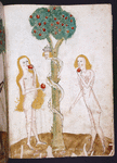 Full-page miniature of Adam, Eve and the Serpent