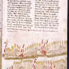 Text with rubric and placemarkers; miniature