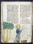 Text with placemarkers and rubric; miniature including Samson