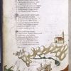 Text with red and blue initials.  Map with small drawings of cities, church