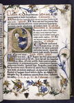 Historiated initial of the Nativity; border includes a moth, as well as the side view of a pink rose, whose design originates in engraved playing cards