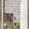 Small image of Luke working in his study; the border with strewn flowers and fruits