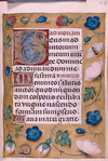 Page of text with initials, gold border with strewn flowers and insects