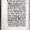 Beginning of text written onto last few folios, in different hand. Red initials