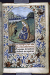 Miniature of John the Evangelist.  3-line blue initial, rubric, and full border with animals and grotesque