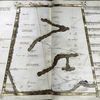 Eighth map of Asia (Scythia "extra Imaum montem"), in full gold border