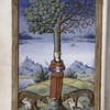 Final miniature of an allegory of a woman as part of the tree trunk, whose branches sprout acorns and berries, while two wolves, each with a child, stand at the foot of the tree