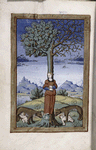 Final miniature of an allegory of a woman as part of the tree trunk, whose branches sprout acorns and berries, while two wolves, each with a child, stand at the foot of the tree