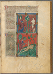 Two miniatures:  God and Adam in the Garden; God creating Eve from Adam's rib.  With text, initials, linefiller, placemarkers