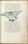 Miniature of Holor, or the Swan, with text and 1-line blue initial