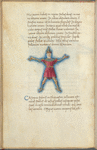 Miniature of Cepheus, with text and 1-line blue initial