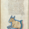 Miniature of Taurus, with text