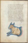 Miniature of Taurus, with text