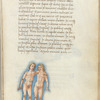 Miniature of Gemini, with text and 1-line blue initial
