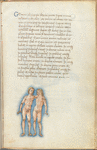 Miniature of Gemini, with text and 1-line blue initial