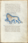 Miniature of Leo, with text and 1-line blue initial