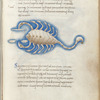 Miniature of Scorpio holding Libra, with text and 1-line blue initial