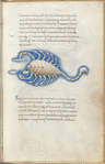 Miniature of Scorpio holding Libra, with text and 1-line blue initial