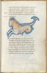 Miniature of Capricorn, with text and 1-line blue initial