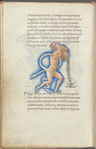 Miniature of Aquarius, with text and 1-line blue initial