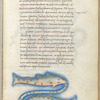 Miniature of Pisces, with text