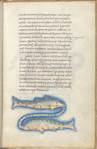 Miniature of Pisces, with text